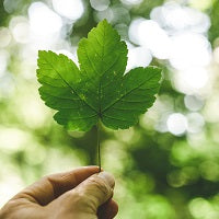 Día Mundial del Medio Ambiente