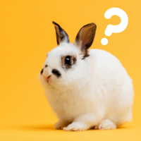 ¿En qué sellos “Cruelty Free” podemos confiar?