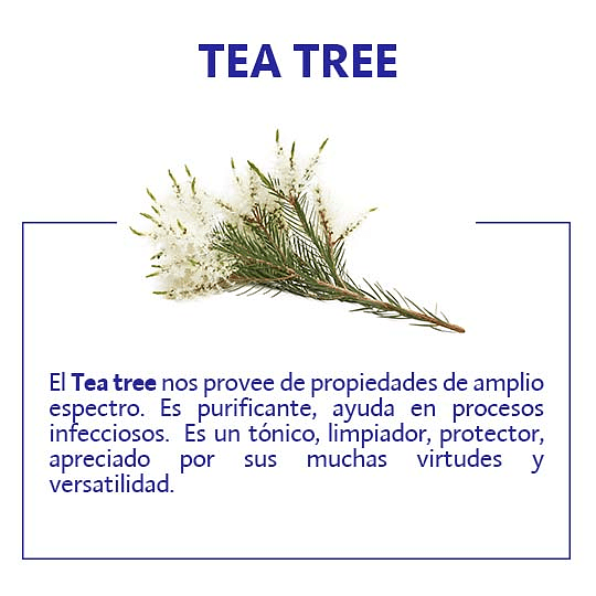 Spray Higenizante de Manos Purification Tea Tree - 70% alcohol- 50 ml