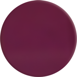 Lapiz Multifuncion Prune 606