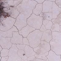 ¿Por qué la tierra agotó todos sus recursos naturales este 2020?