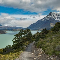 Organizaciones chilenas que protegen nuestra biodiversidad
