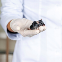 Los principales mitos en torno al testeo animal